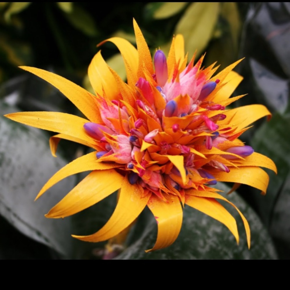 Meet your Posher, April